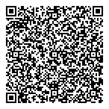 Bilel MarssielleuvSI5